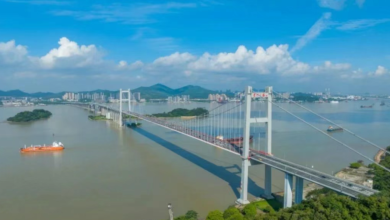 Dongguan Binhaiwan and Guangzhou Nansha: A Model of Collaborative Development in the Greater Bay Area