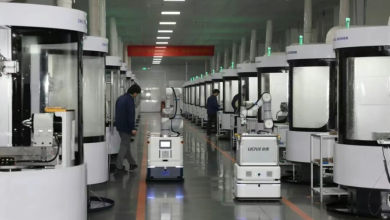 Dongguan's Foreign Trade Breakthrough: Resilience and Innovation in Challenging Times