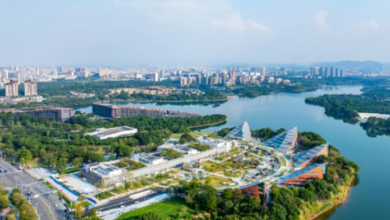 Dongguan: Building a World-Class Bay Area with Full Force
