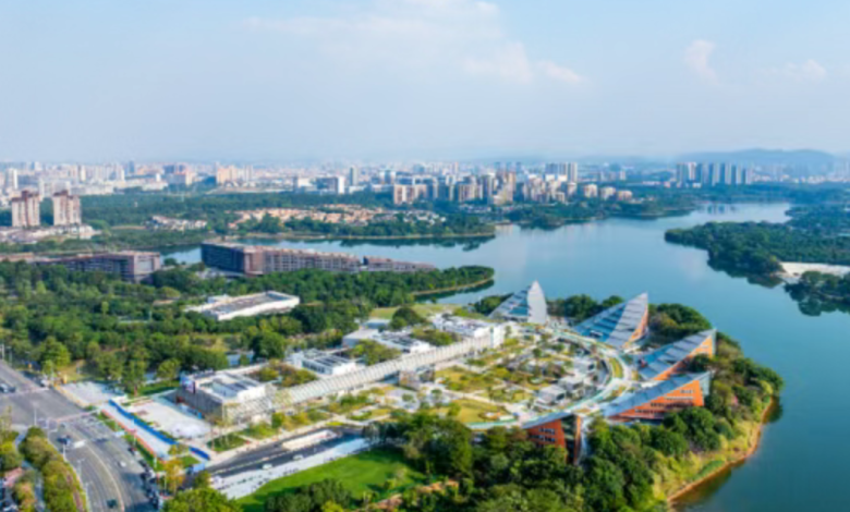 Dongguan: Building a World-Class Bay Area with Full Force